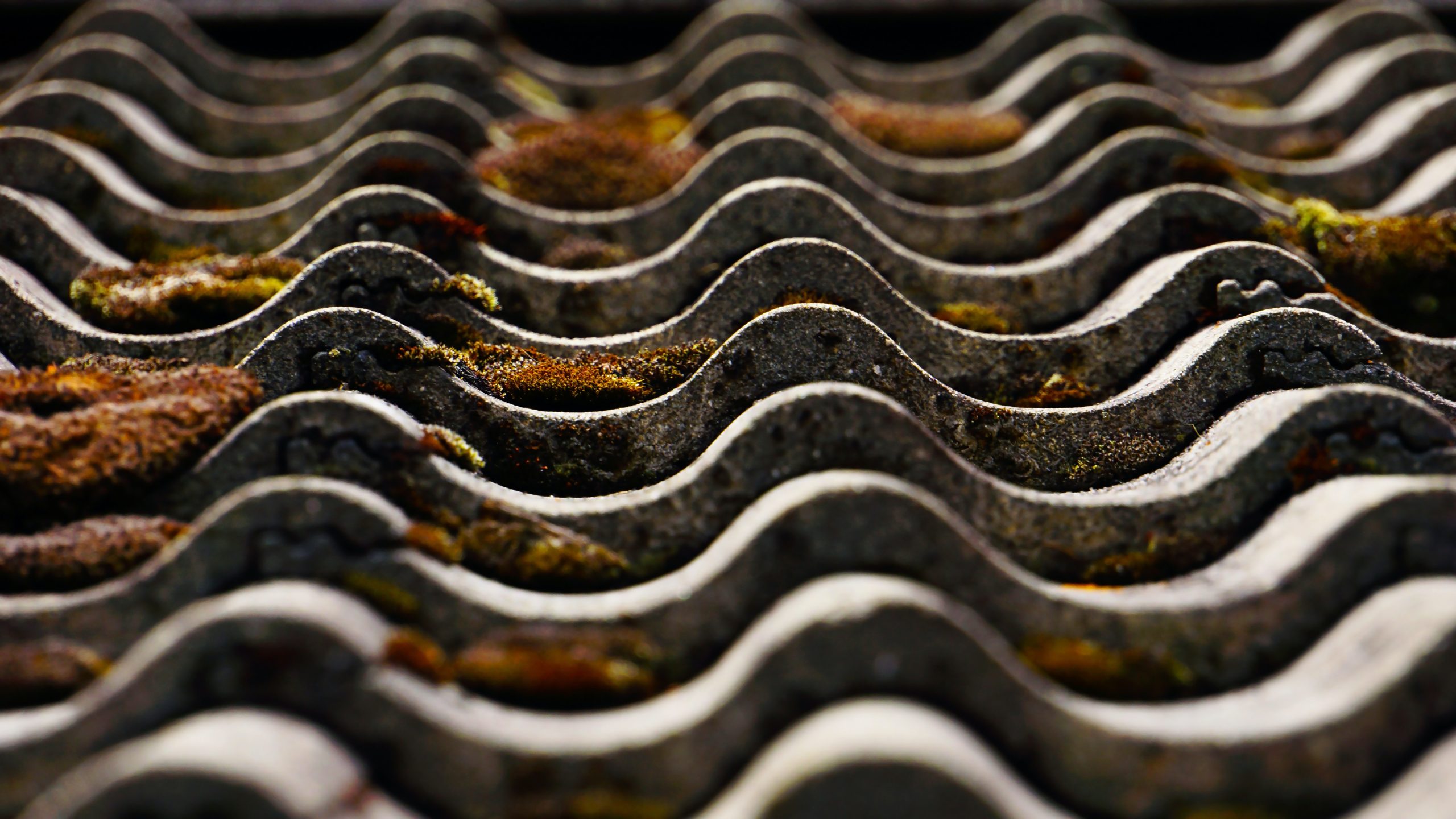 boris-misevic-OFVqnWOAe_E-unsplash